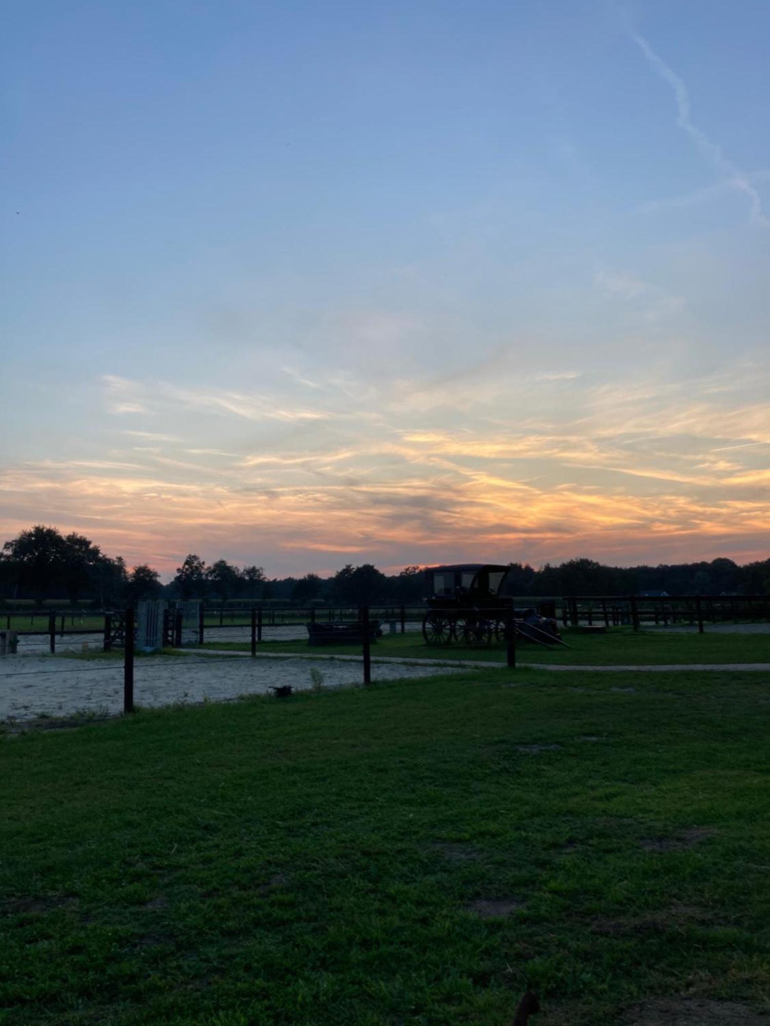 Bed & Breakfast Hoeve Happiness - Ontbijt Inbegrepen - Wellness Aanwezig Voorthuizen Eksteriør bilde