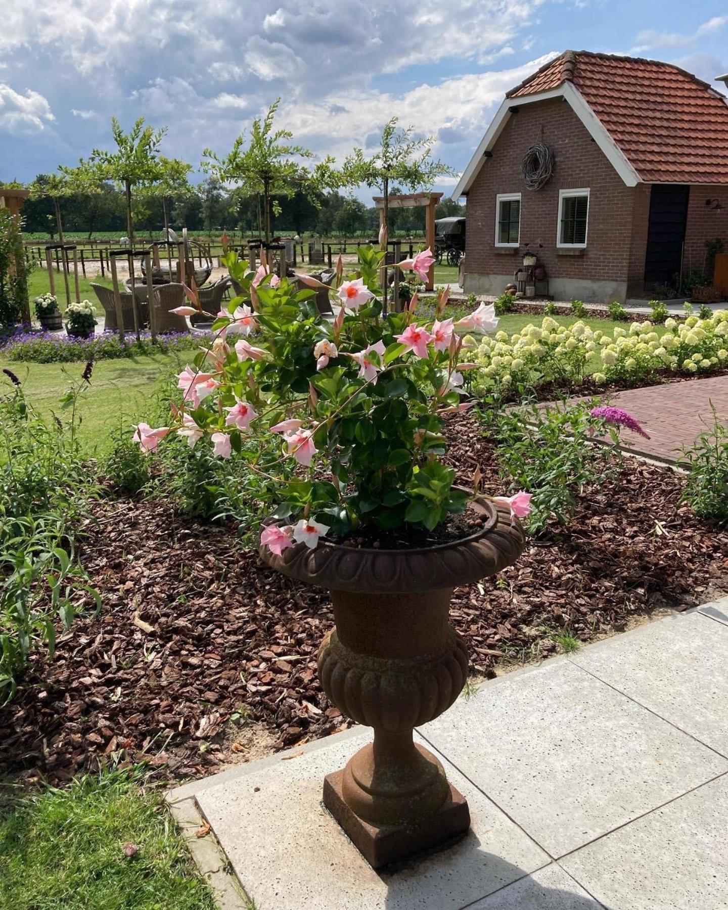 Bed & Breakfast Hoeve Happiness - Ontbijt Inbegrepen - Wellness Aanwezig Voorthuizen Eksteriør bilde