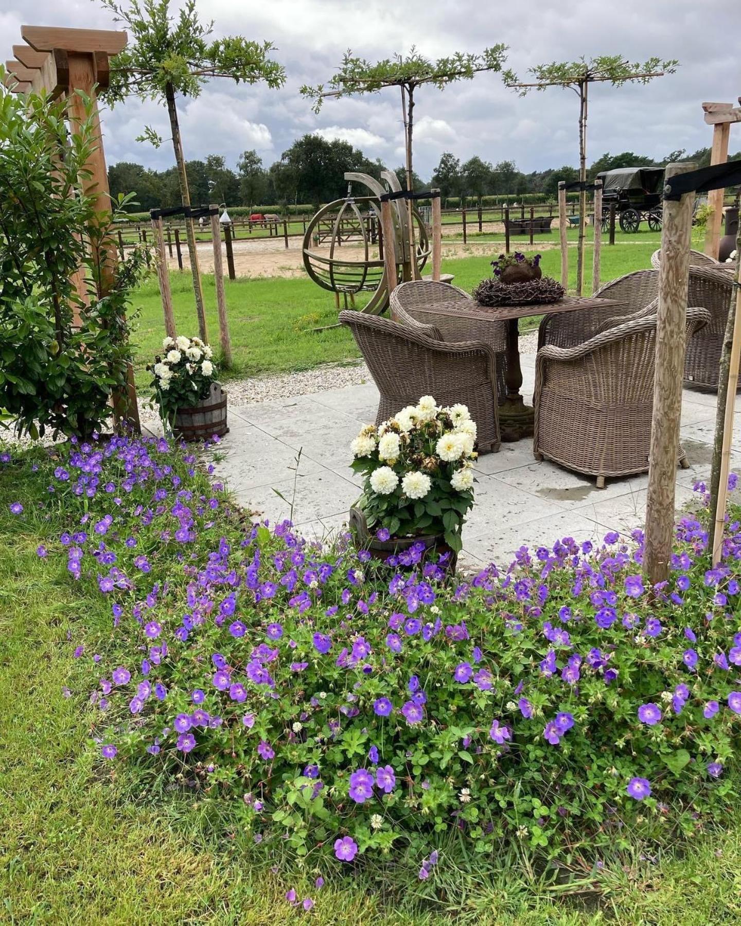 Bed & Breakfast Hoeve Happiness - Ontbijt Inbegrepen - Wellness Aanwezig Voorthuizen Eksteriør bilde
